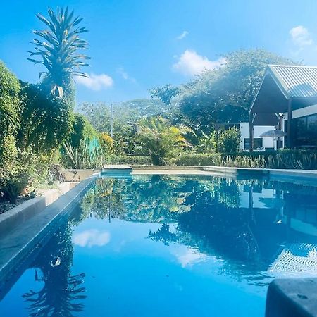 Villas Cabuya Beach & Jungle Exterior photo